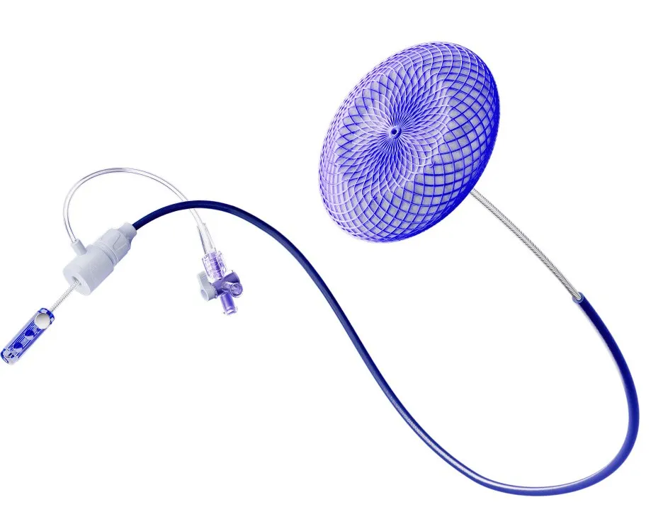 One-Month Follow-Up Case | ASD with Right Heart Enlargement