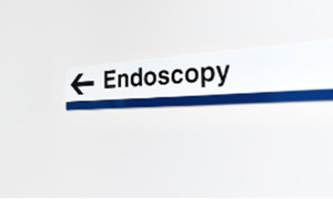Endoscope of the Stomach and Its Disease