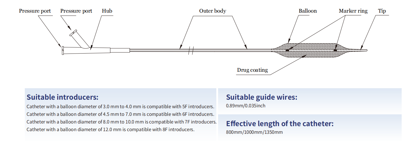 ssproductinfo1section Structure Diagram and Technical Parameters