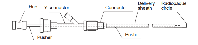ordering information ordering information