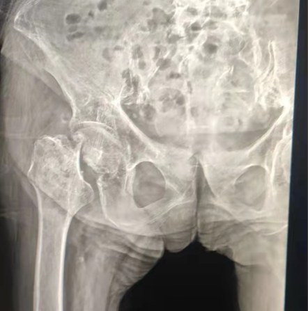 513882168_1117139833769661_2222185543595185090_n.jpg 513882168_1117139833769661_2222185543595185090_n.jpg