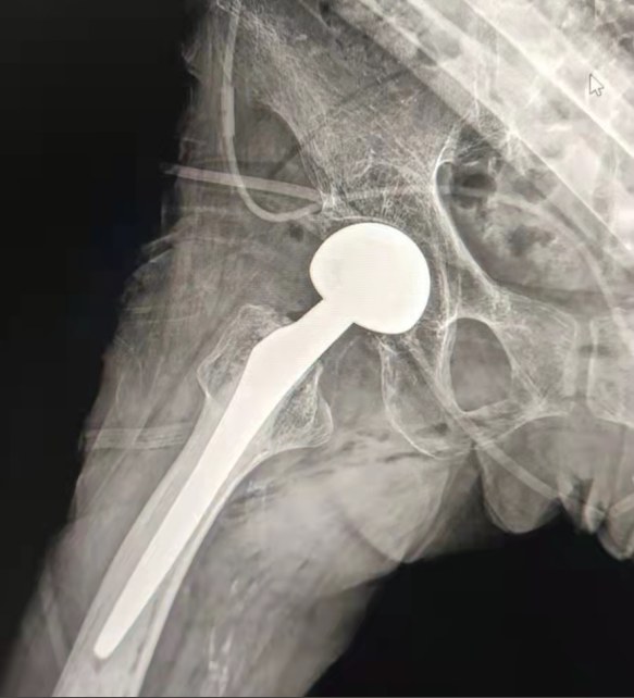 515506108_1117139863769658_2540659324777287107_n.jpg 515506108_1117139863769658_2540659324777287107_n.jpg