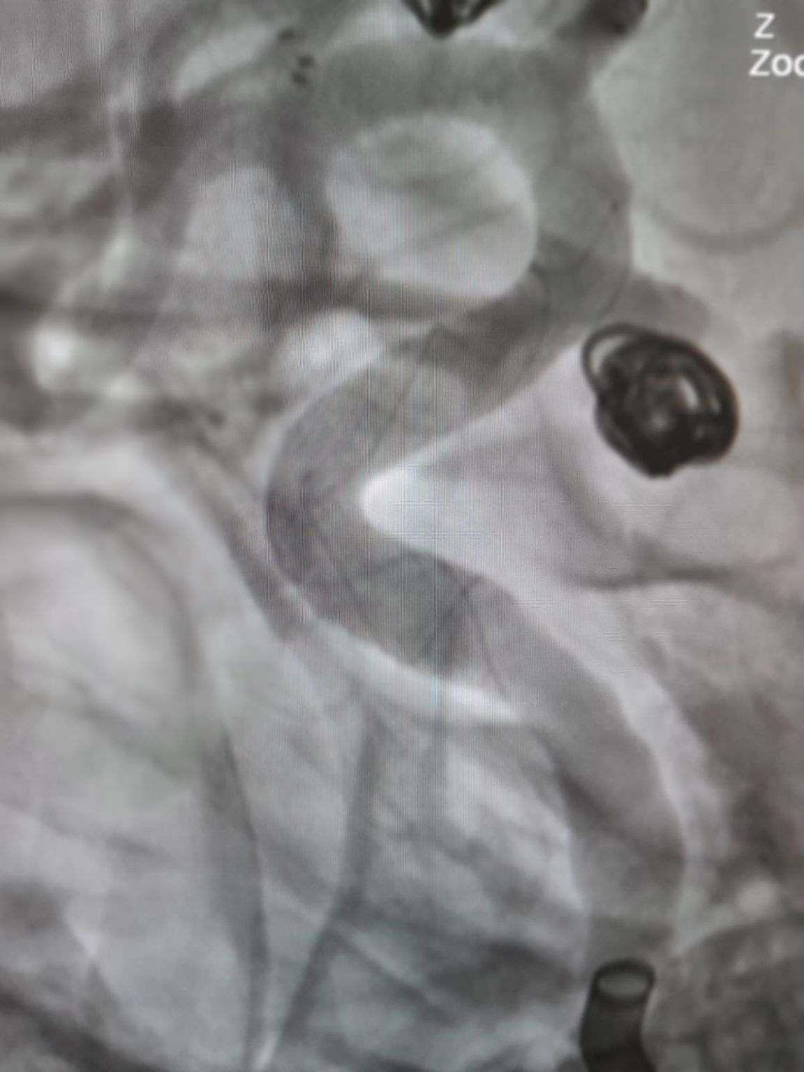 1751956401865.jpeg 1751956401865.jpeg