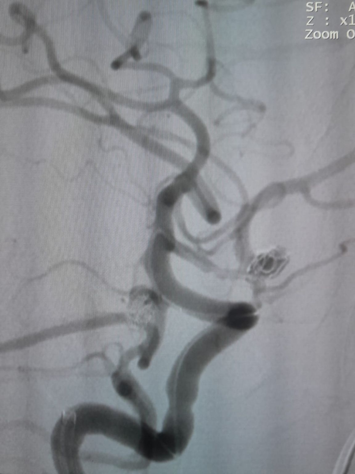 1751956403760.jpeg 1751956403760.jpeg