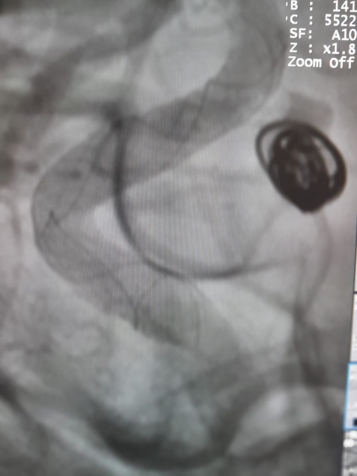 1751956402504.jpeg 1751956402504.jpeg