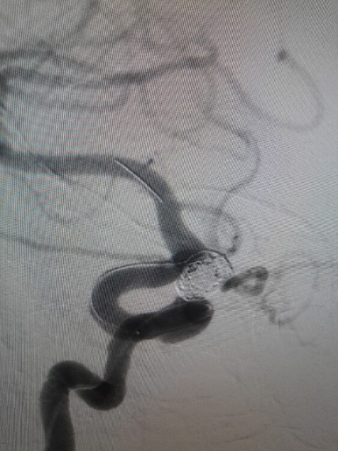 1753754754622.jpeg 1753754754622.jpeg