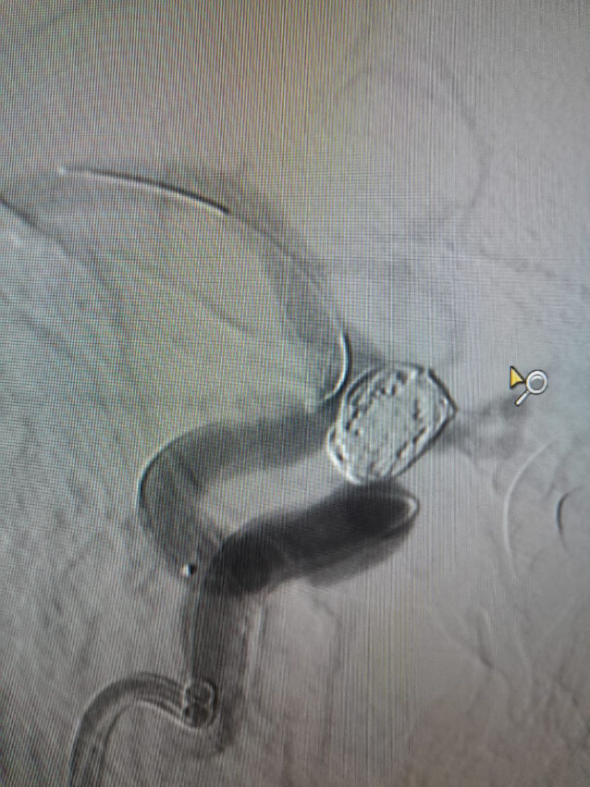 1753754753363.jpeg 1753754753363.jpeg