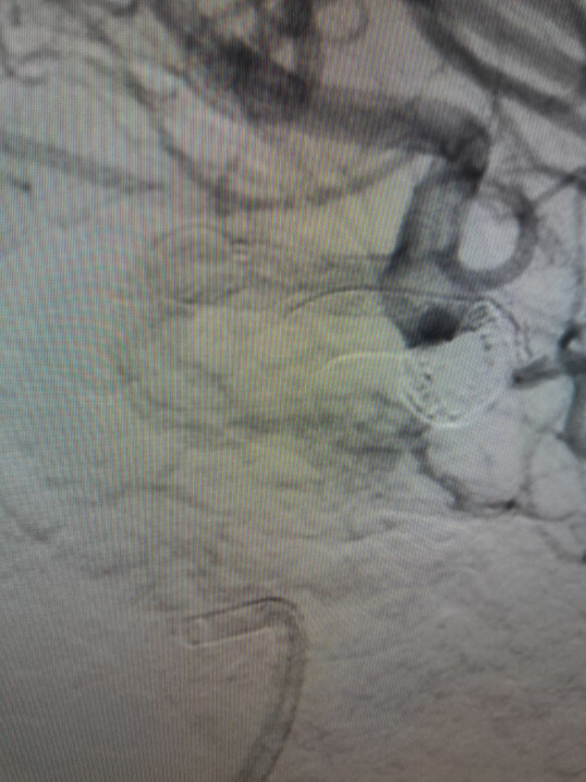 1753754753678.jpeg 1753754753678.jpeg