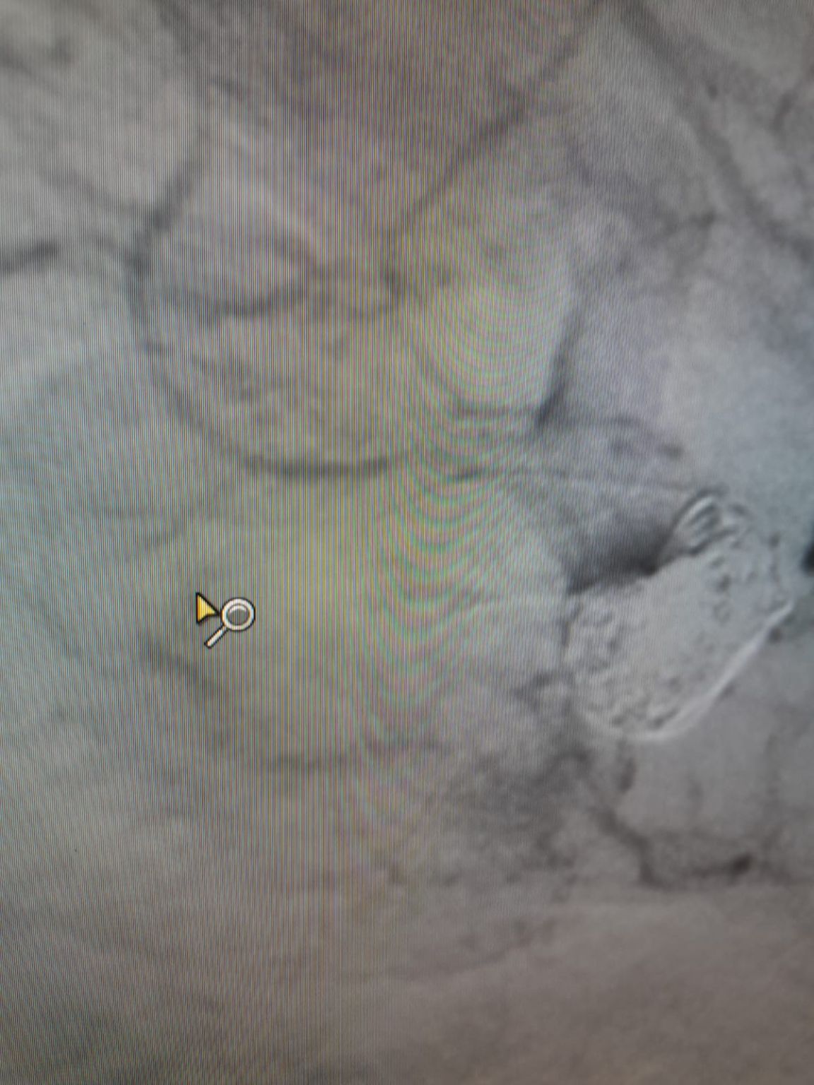 1753754751317.jpeg 1753754751317.jpeg