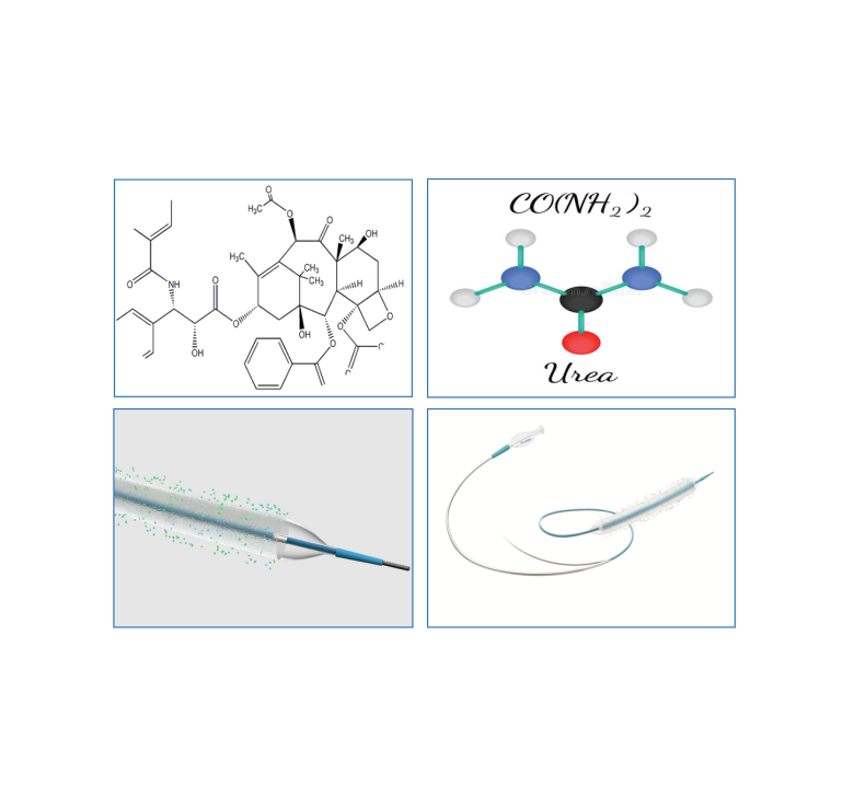 v Antiproliferative drugs Paclitaxel highly lipophilicity, long halflife, rapid absorption