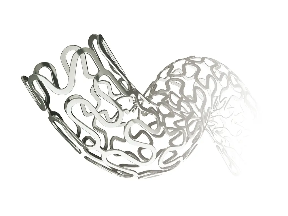 GuReater CoCr Stent Sirolimus-eluting Coronary Stent System