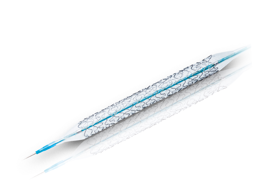 H-Stent Coronary Stent System