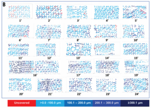 Coverage Status Of The Individual Stents/Patients At Two Time Points (Three And Six Months)