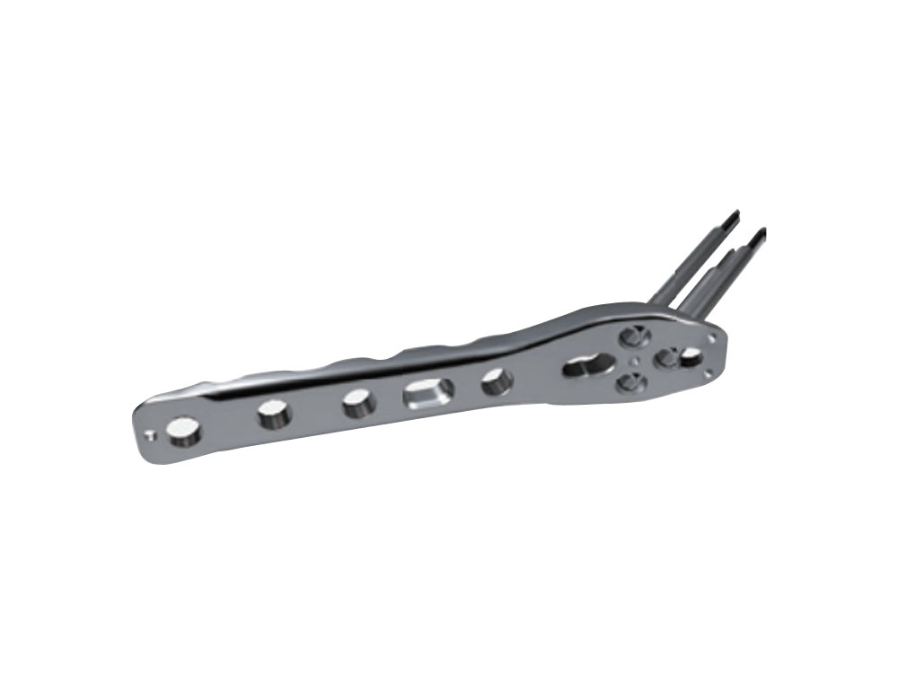 Dynamic Hip Locking Plate