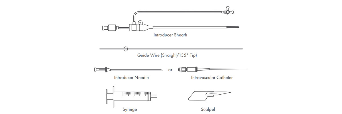 Brilliant Introducer Kit