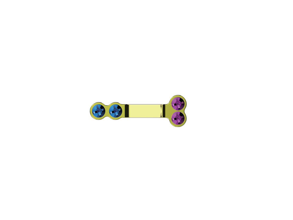 Laminoplasty Plate Fixation System
