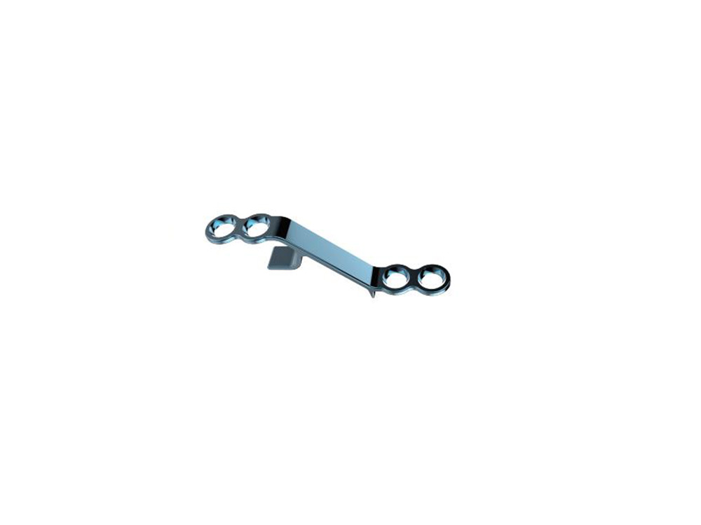 Lateral Hole Plate (OD)