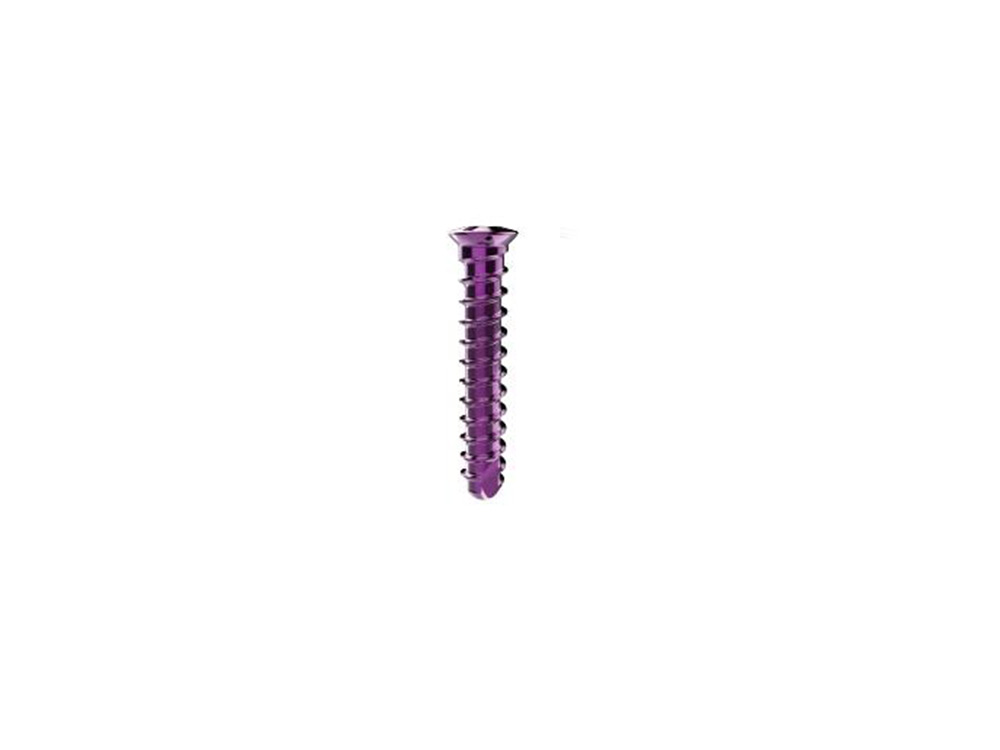 Self-tapping Revision Screw