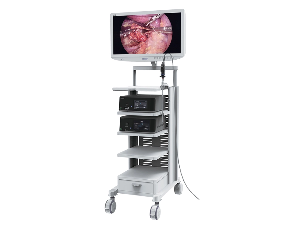 Endoscopy